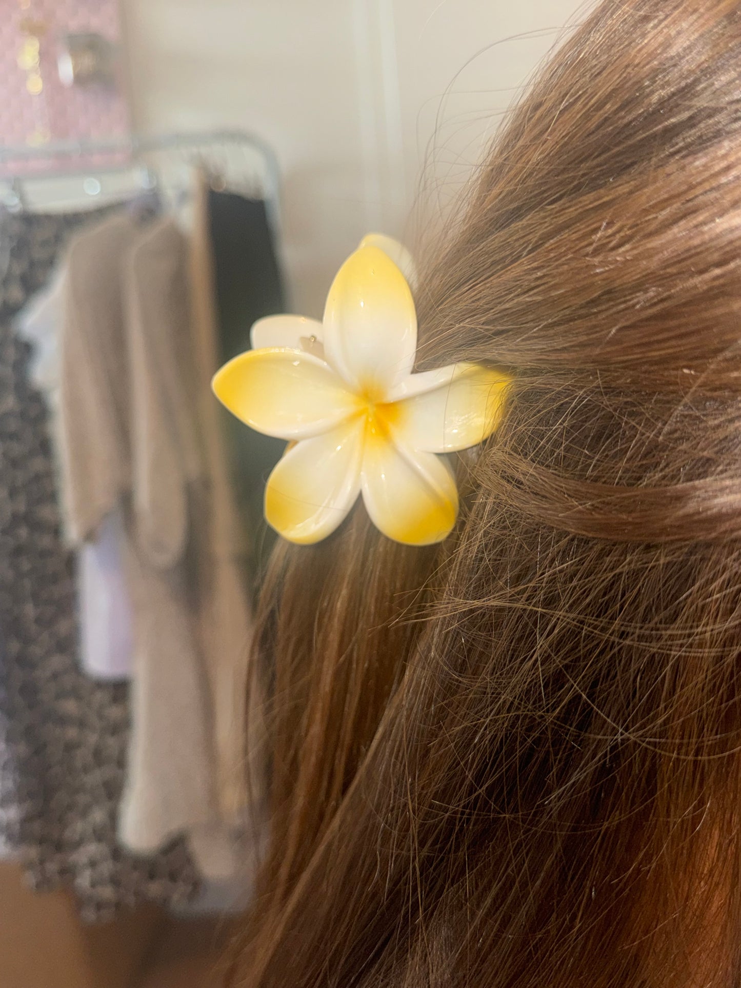 Accessoires cheveux pince